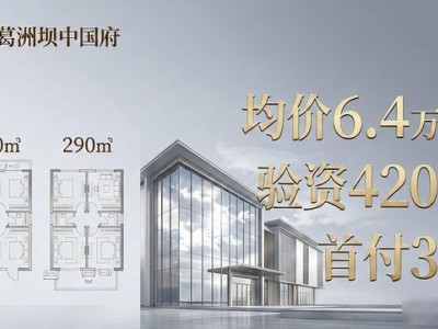 南京地王楼盘葛洲坝中国府上市，均价6.4万突破限价红线