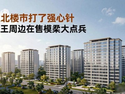 南京万元楼盘增多，刚需族还能买到哪些便宜好房？