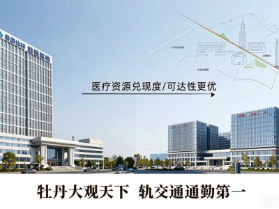 南京仙林湖附近楼盘，牡丹大观天下轨交通勤排第一