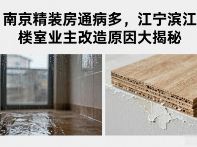 南京精装房通病多，江宁滨江楼盘业主改造原因大揭秘