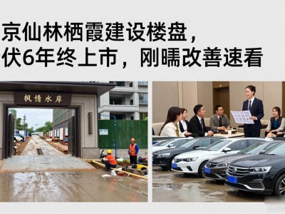 南京仙林栖霞建设楼盘，蛰伏6年终上市，刚需改善速看