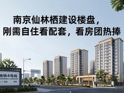 南京仙林栖建设楼盘，刚需自住看配套，看房团热捧
