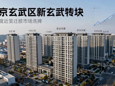 南京玄武区房价崩了？300万住进富人区，板块大洗牌真相